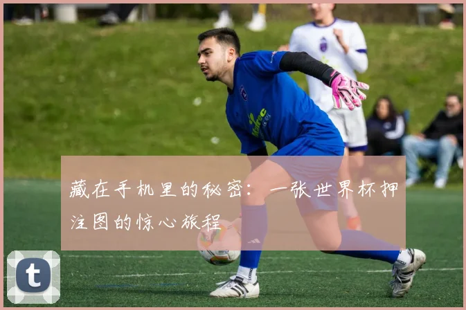藏在手机里的秘密：一张世界杯押注图的惊心旅程