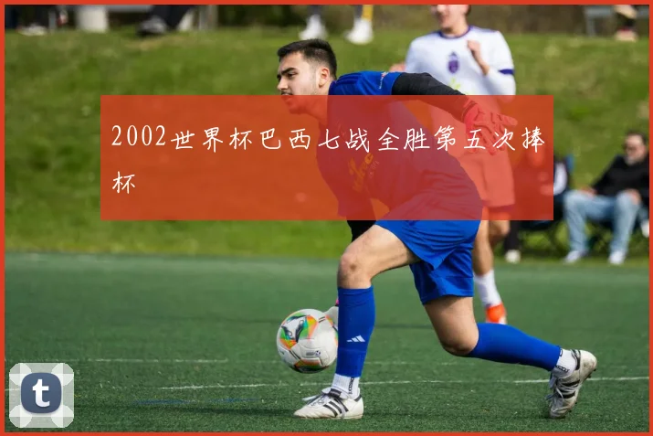 2002世界杯巴西七战全胜第五次捧杯